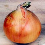 Client as Onion:  Peeling Down To The Core