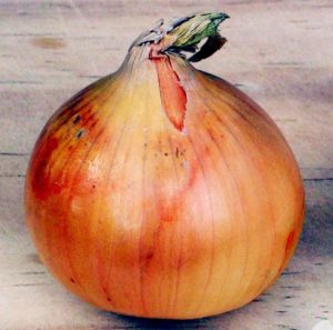 Bankruptcy Client as Onion