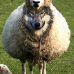 Beware Predatory Lenders In Sheep’s Clothing