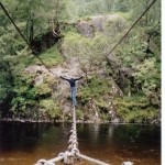 Rope bridge over the bankruptcy chasm