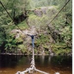 Rope bridge over the bankruptcy chasm