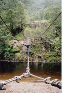 Rope bridge over the bankruptcy chasm